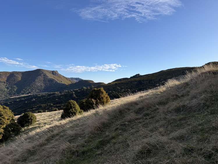 490 Long Bay Road Akaroa_17