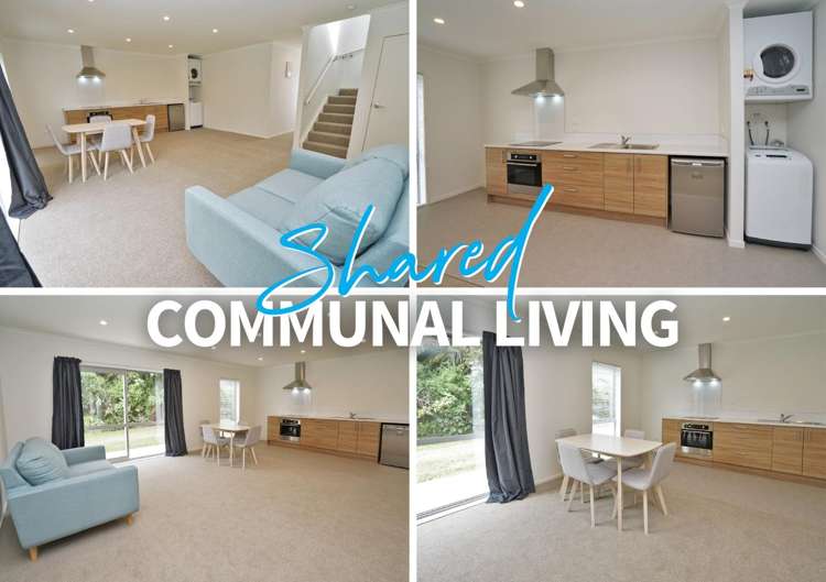 2B/43 Mahoe Street 1107_6