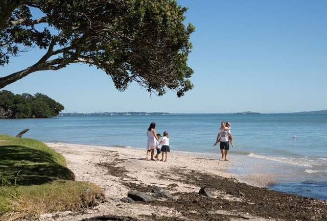 Discover something new this summer