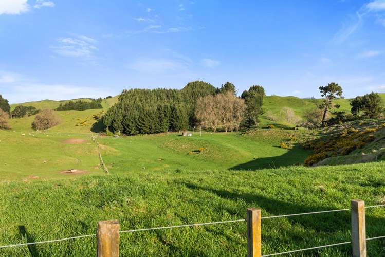 30 Stafford Rise Owhata_30