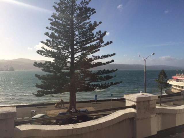 232 Oriental Parade Oriental Bay_2