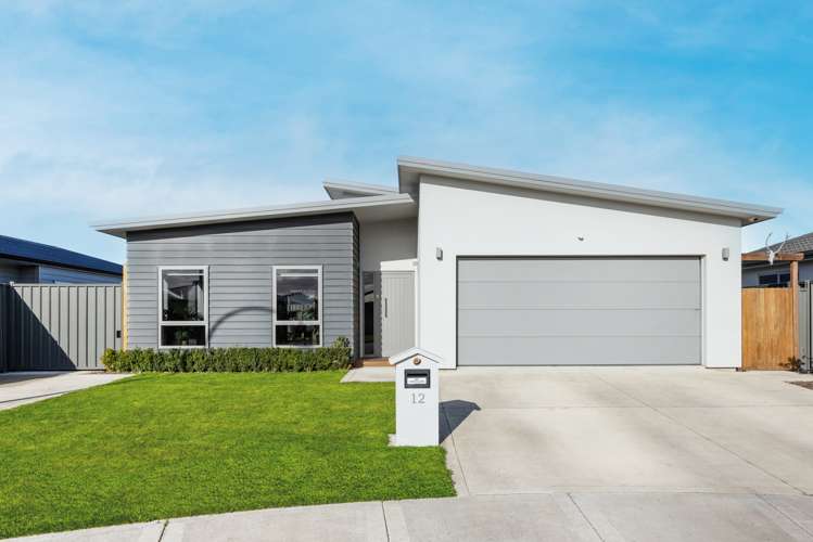 12 Manganui Place Te Awa_19