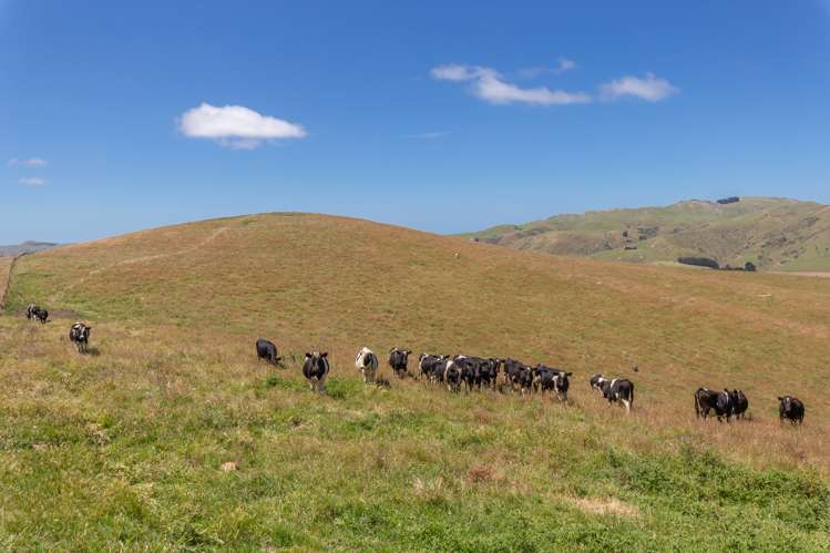 324 Reeces Road Waipara_10