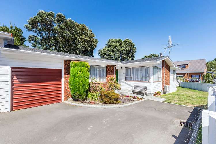 283 Darlington Road Miramar_0