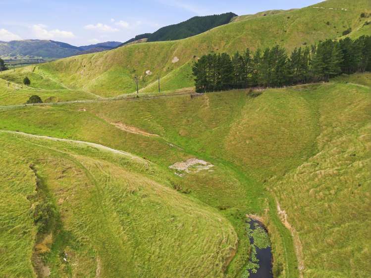 100 Heights Road Shannon_16