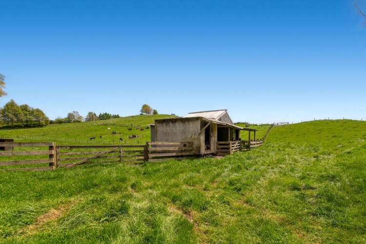 60 Dods Road Waikite Valley_19