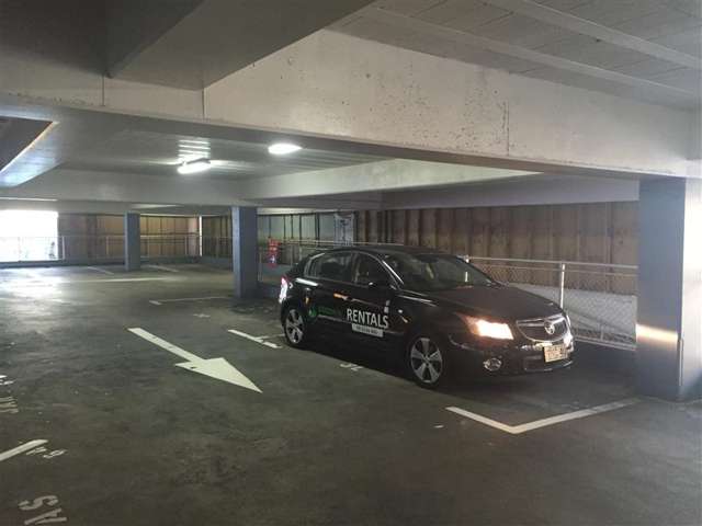 3L/23 Hobson Street - Car Park 10015_1