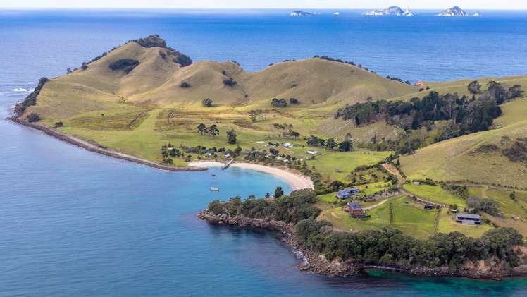 190 Pacific Ocean, Slipper Island (Whakahua) Thames_33