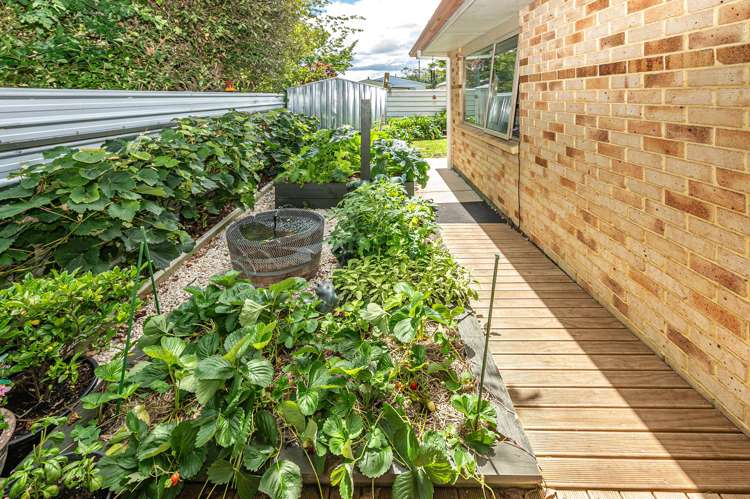 34B Field Street Aramoho_18