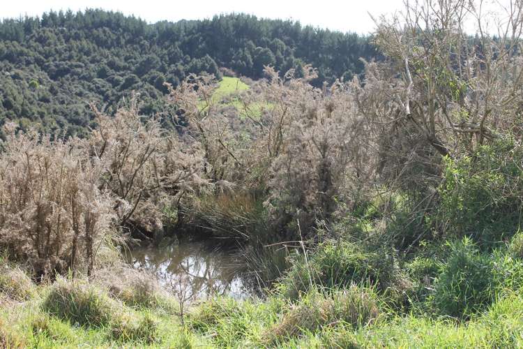 6041 State Highway 12 Ohaeawai_6