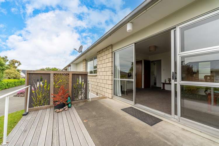 3/8 Campbell Street Maori Hill_10