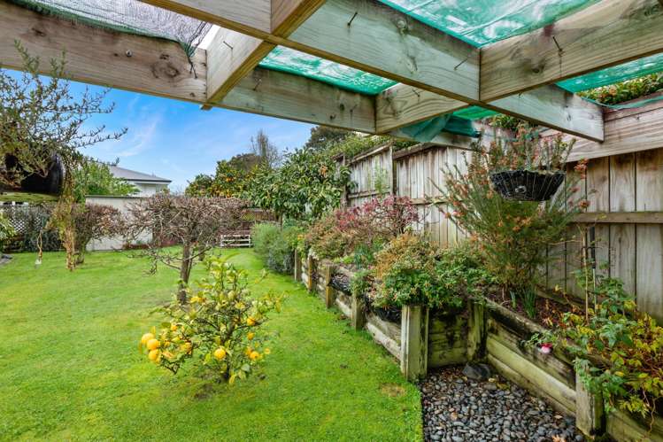 40 Willow Grove Morrinsville_15