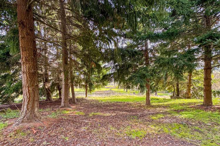 1289 Gibbston Highway Arrow Junction_23