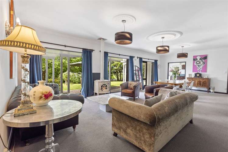 347 Horseshoe Bush Road Dairy Flat_4