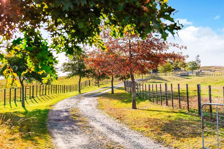 216 Kawakawa Road Kinloch_25