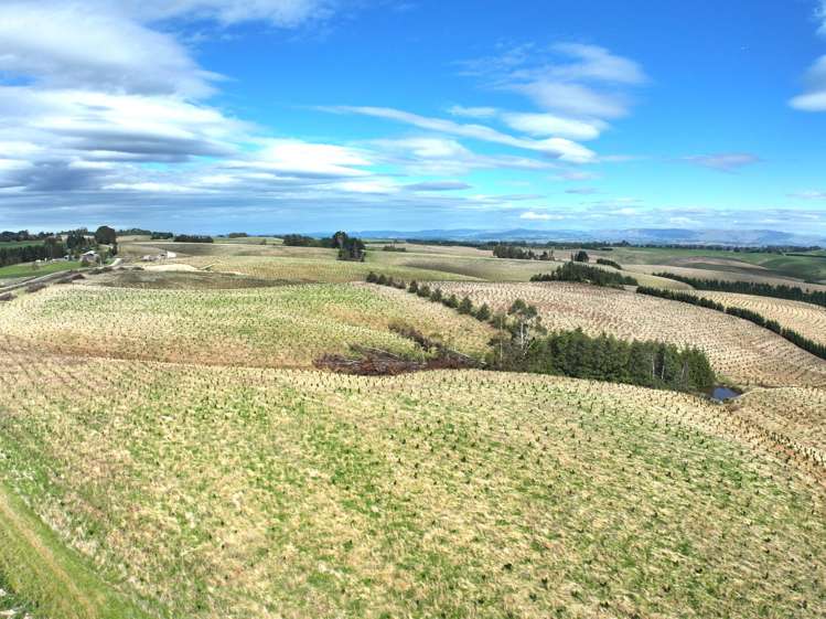 174 McCulloch Road Awamangu_31