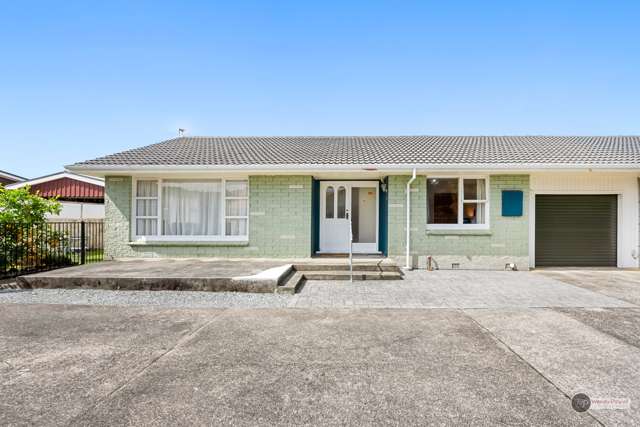 66a Pretoria Street Lower Hutt_1