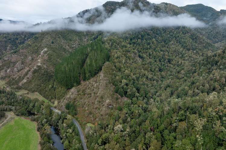 3087 Kawatiri-Murchison Highway Murchison_6