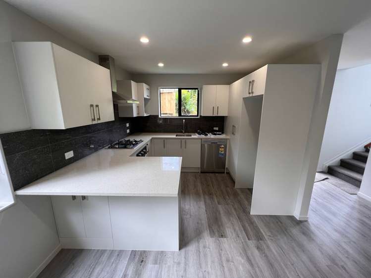 17a Knox Road Swanson_8