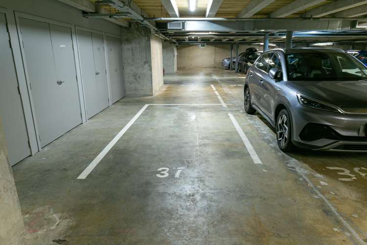 7F/245 Wakefield Street Te Aro_13