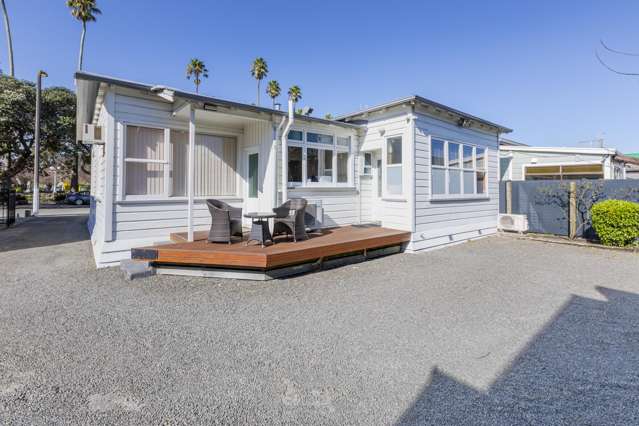 23 Clive Square Napier Cbd_4