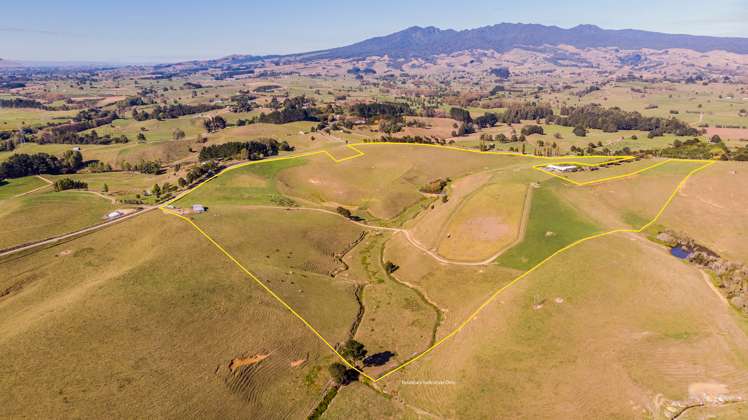 35 Grove Access Road Karamu_49