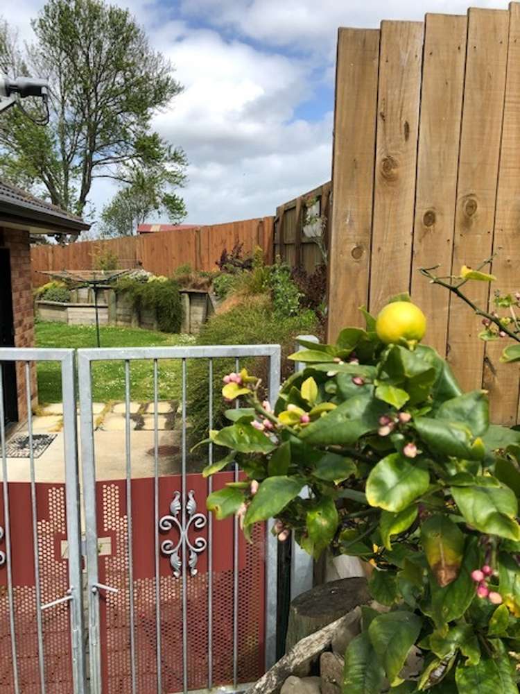 30 Roto Street Te Kauwhata_13