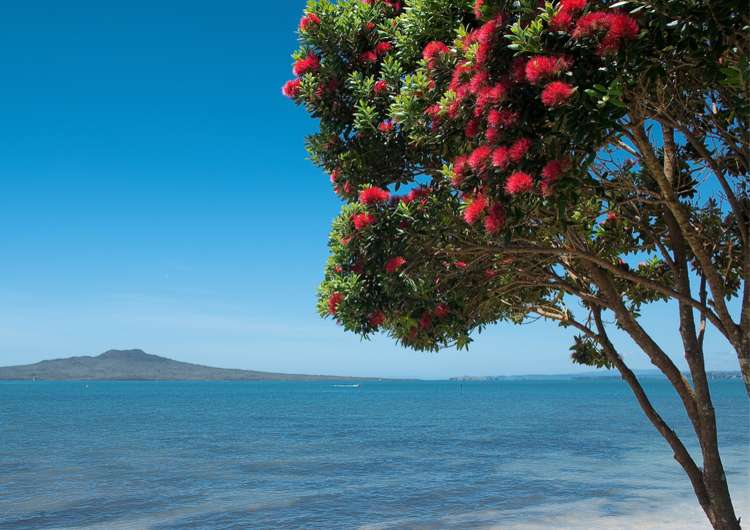 43a Aramoana Avenue Devonport_14