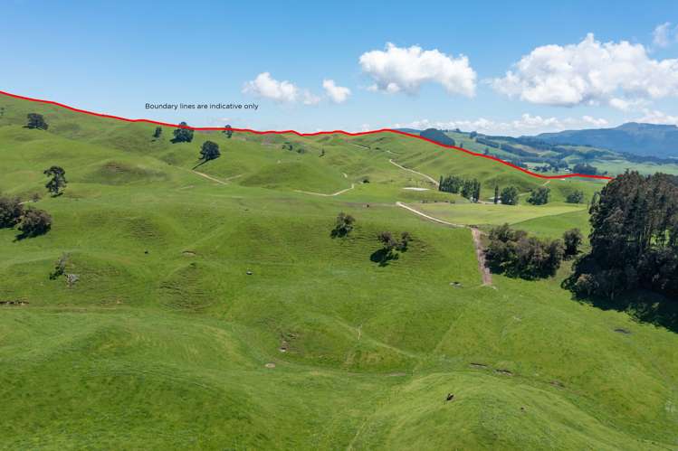 261 Pokuru Road Tirohanga_4