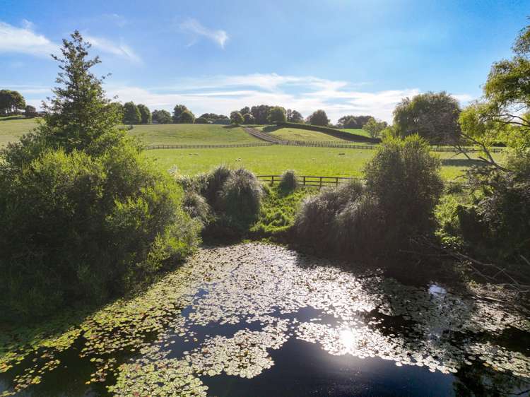 136 Wells Road Okoroire_36