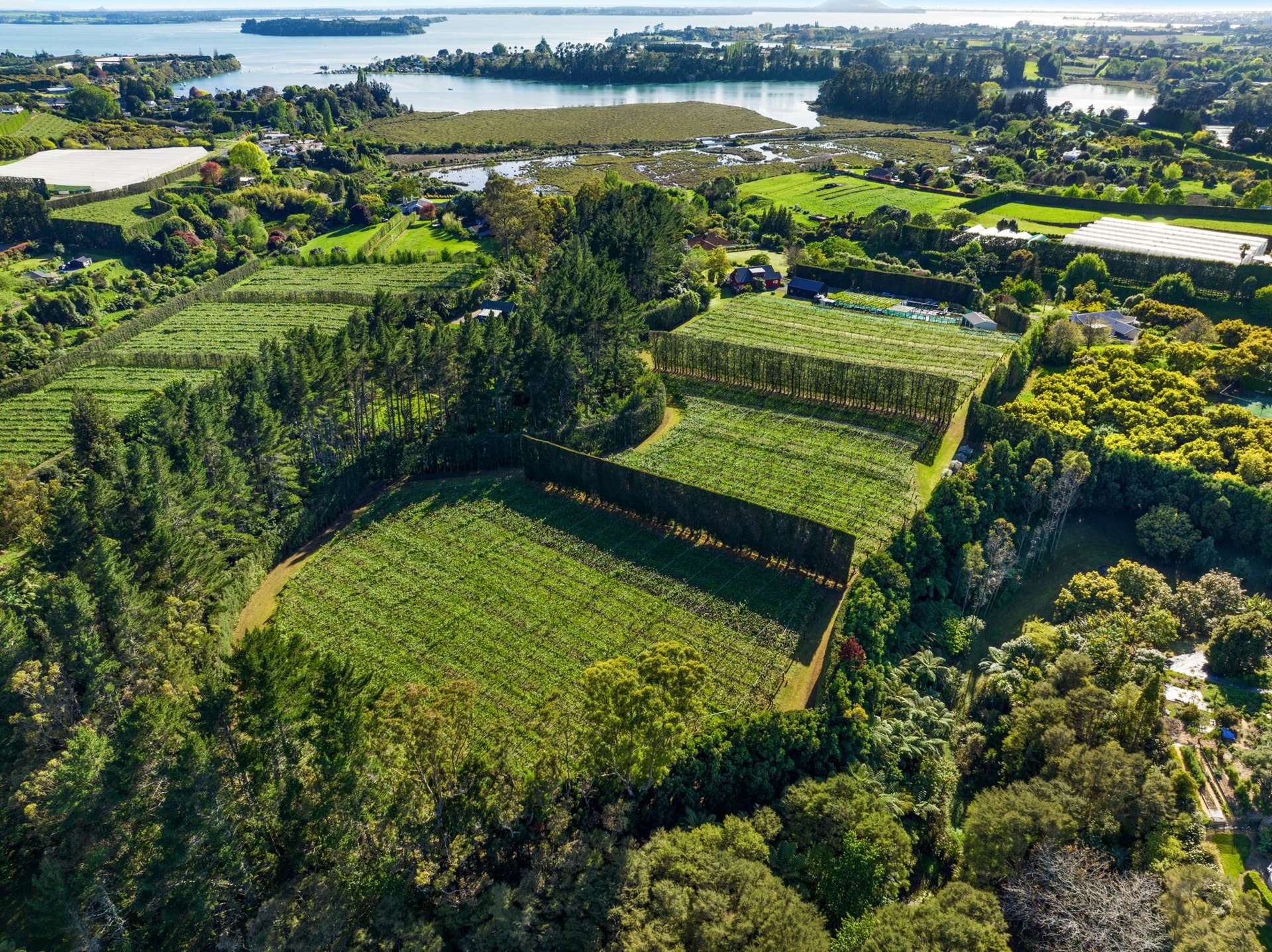 34B Jess Road Whakamarama_0