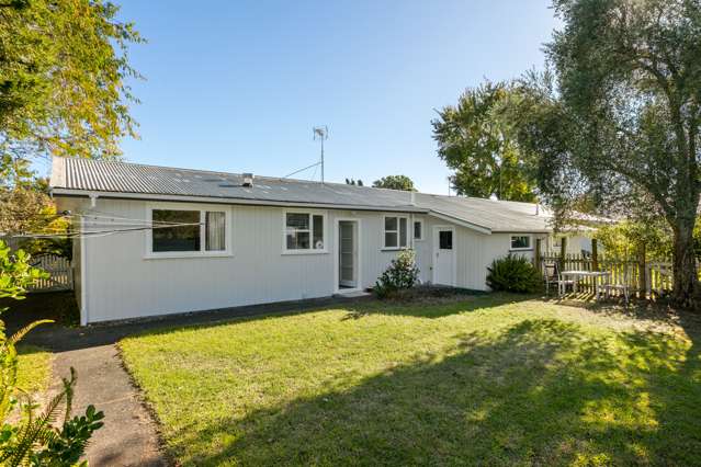 54b Graham Road Inner Kaiti_3