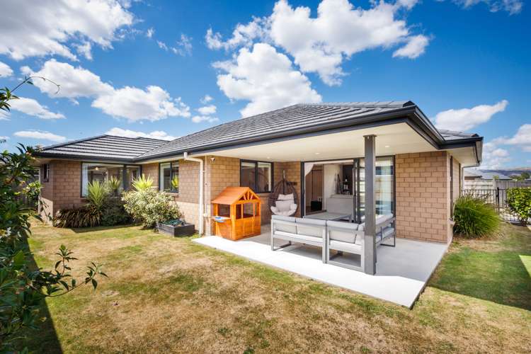 22 Monarch Drive Ashhurst_24