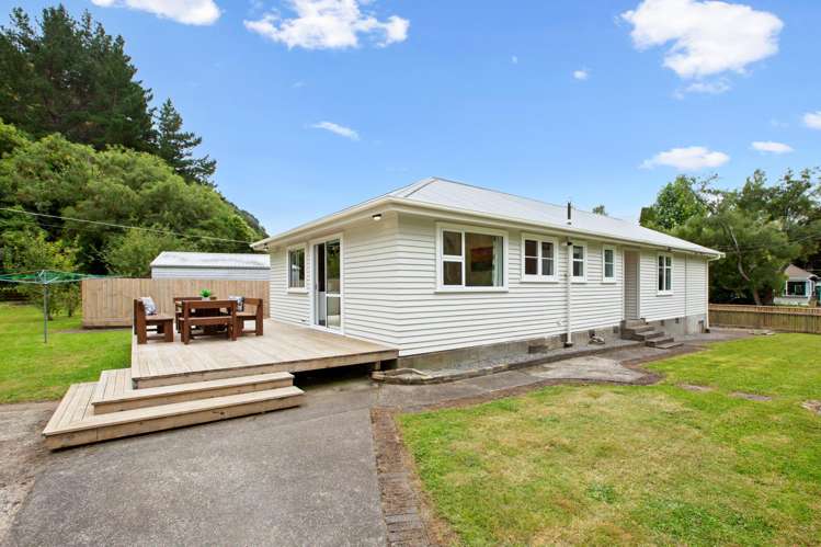 46 Bridge Road Birchville_2