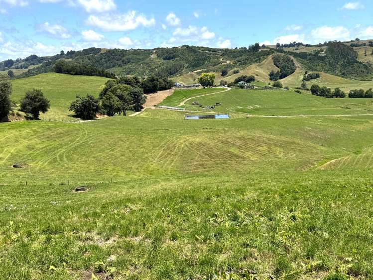 219 Waitomo Valley Road Otorohanga_9