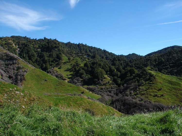 839 Ruatiti Road Raetihi_9