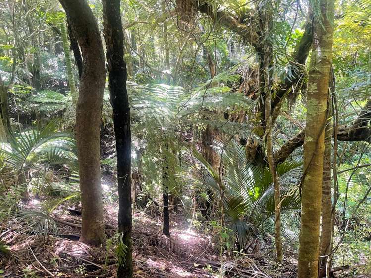 149 Aotea Road Great Barrier Island_10