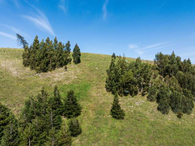 38 Valley Road Greta Valley_3