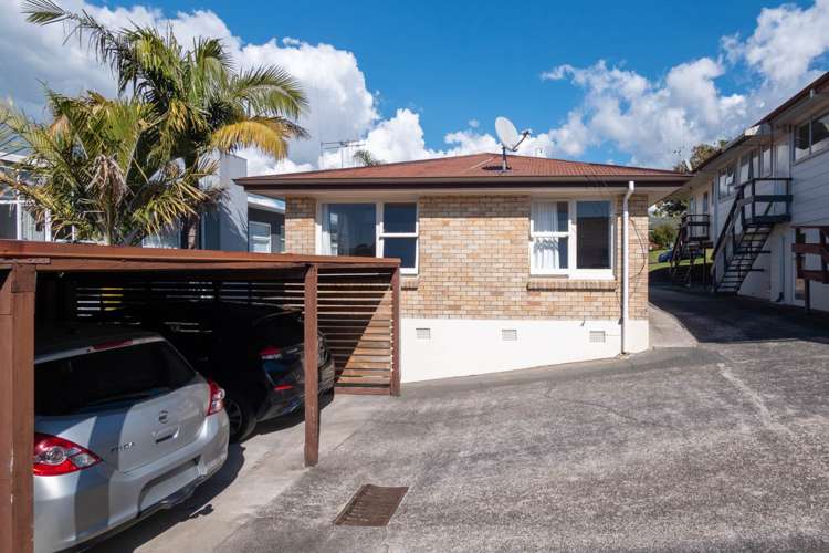 63a Sixth Avenue Tauranga Central_1