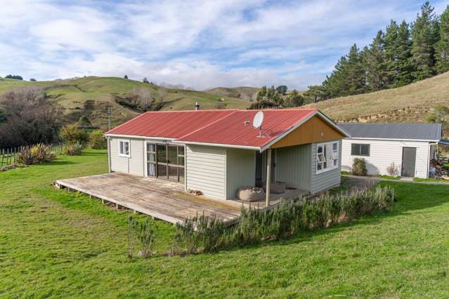 579 Jacksons Line Mauriceville_1