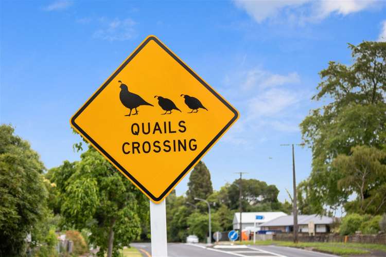 41a Arapuni Road Arapuni_11