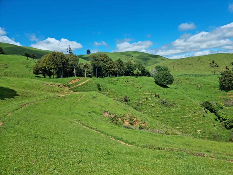 852 Mangawara Road Tahuna_9