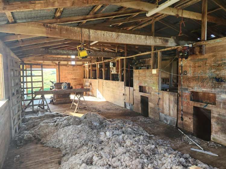 899 Te Akau Road Te Akau_12