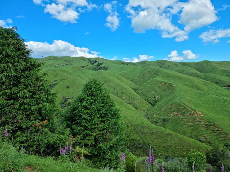 852 Mangawara Road Tahuna_22