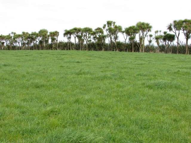 368 Otara Haldane Road Wyndham Surrounds_3