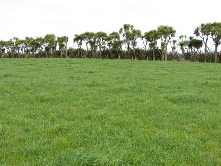 368 Otara Haldane Road Wyndham Surrounds_3