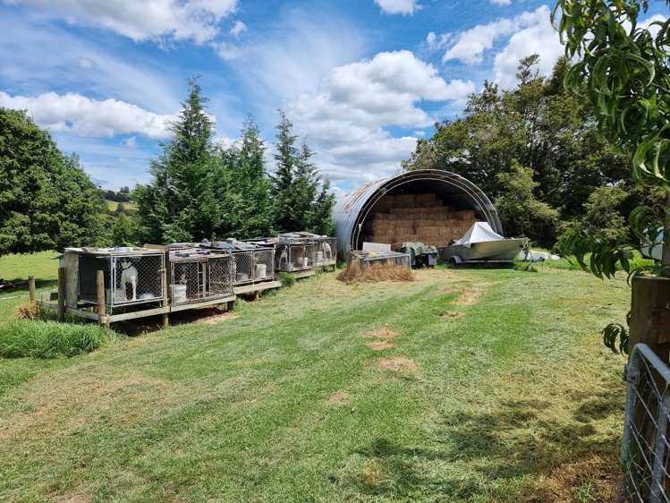 2860 State Highway 1 Brynderwyn_5