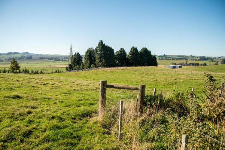 89C Mckinnon Road Mcnab_11