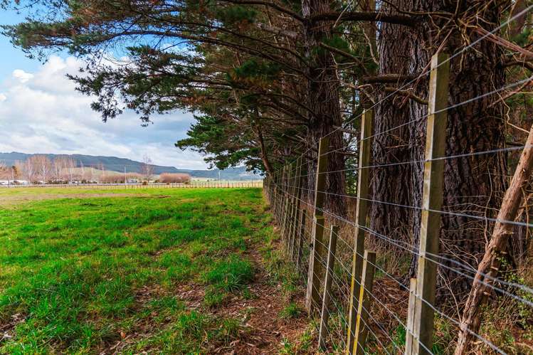 1777 Broadlands Road Broadlands Forest_14