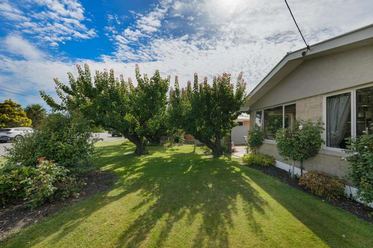 15 Brandon Street Alexandra_19